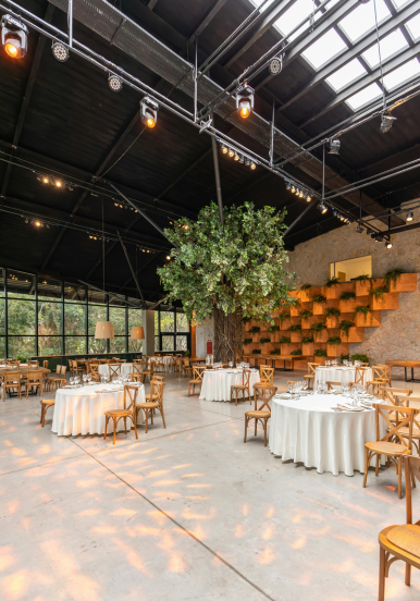 alquiler-de-lugares-para-eventos-santa-cruz-bolivia