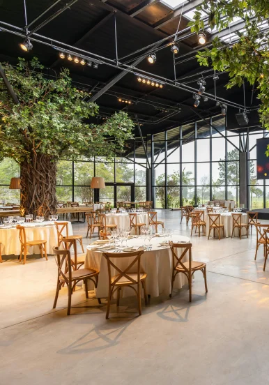 salon-de-eventos-la-paz